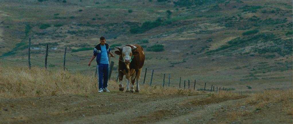 Le Veau d'or Le Veau d'or