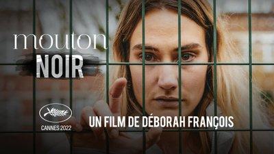 Mouton noir Mouton noir