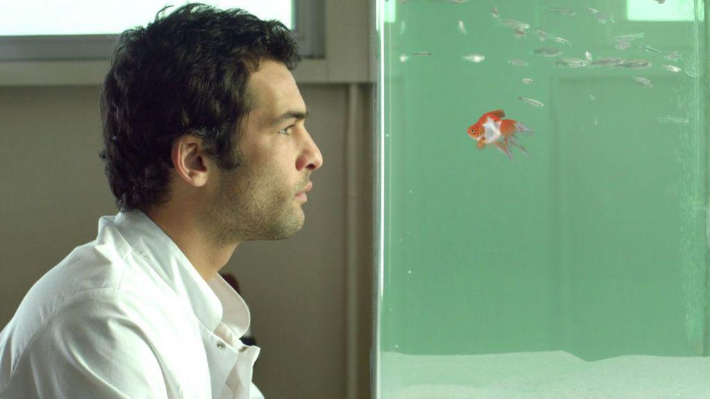 Istanbul International Short Film Festival - 2016