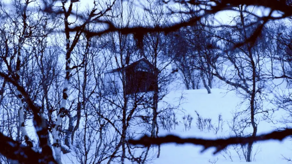 The Girl Looking for the Cabin