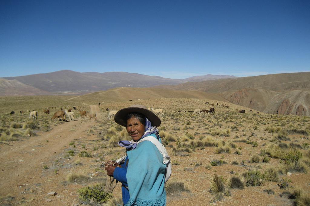 A ciel ouvert A ciel ouvert