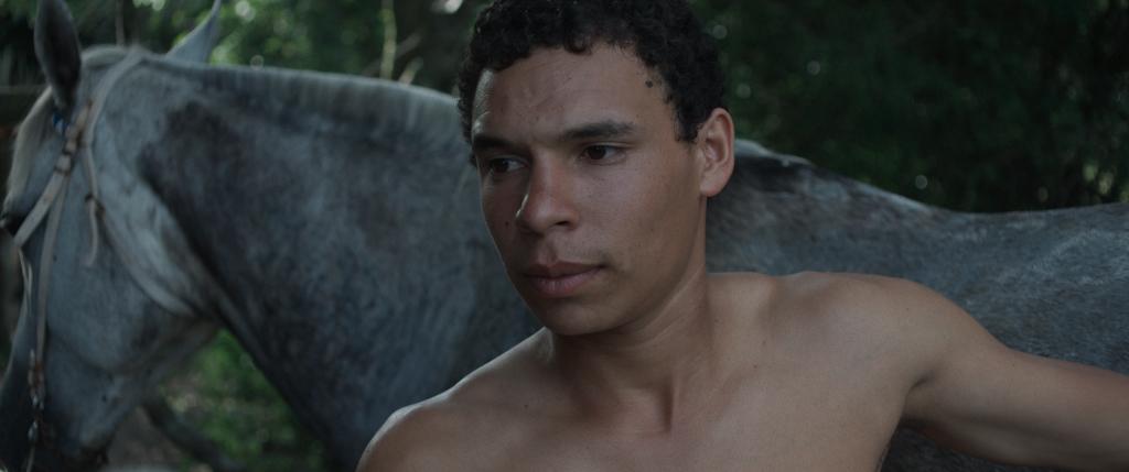 The Employer and the Employee The Employer and the Employee