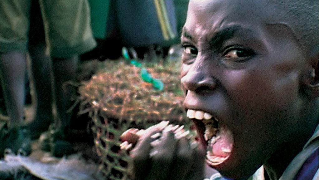 Darwins Nightmare Darwins Nightmare