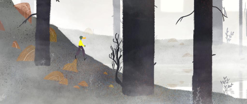 Brume, cailloux et méthaphysiqu Brume, cailloux et méthaphysiqu