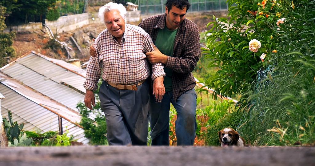 My Grandpa's Garden My Grandpa's Garden