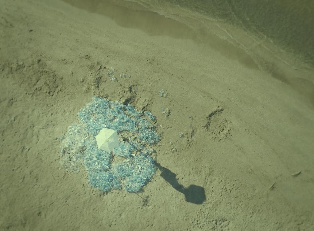 Marie-Laure N&egrave;gre