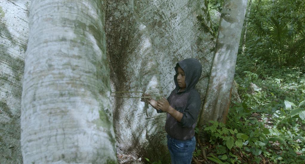 Yollotl (Cœur) Yollotl (Cœur)