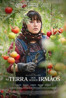 In the Land of Brothers - Portugal