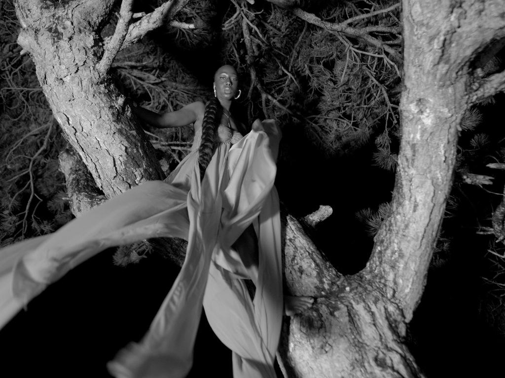 The Tears that Touch the Sun The Tears that Touch the Sun