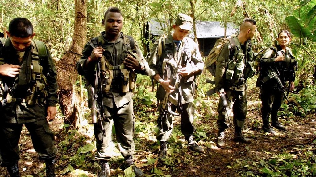 Guerilla des Farc, l'avenir a une histoire Guerilla des Farc, l'avenir a une histoire