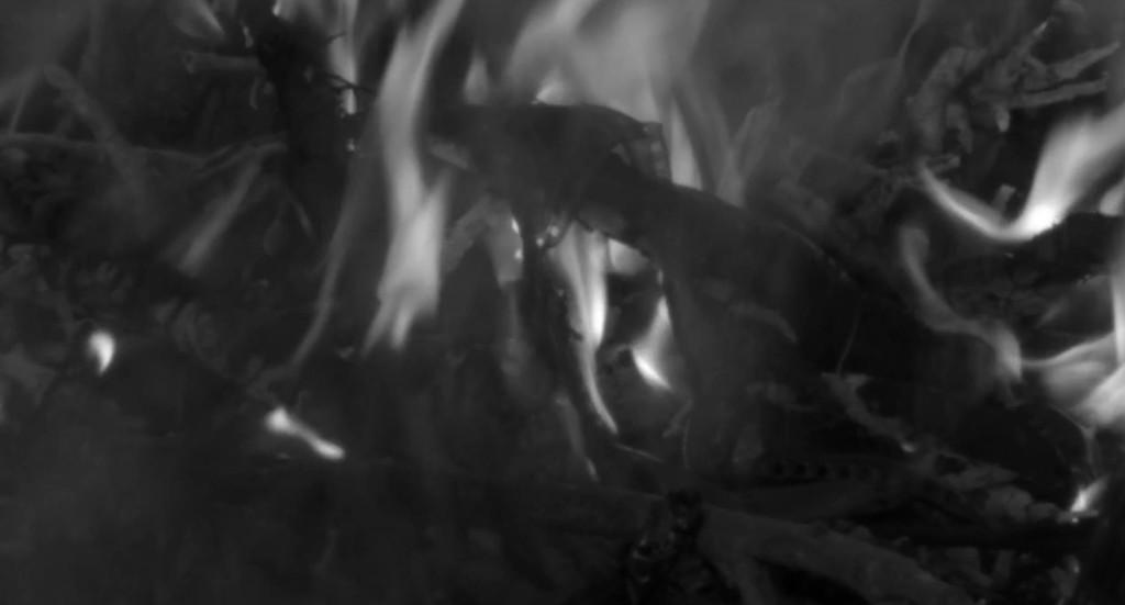 The Snake&rsquo;s Eggs