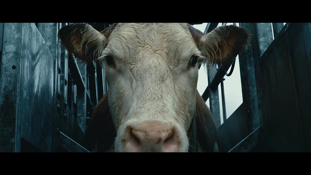 Little Berlin Little Berlin