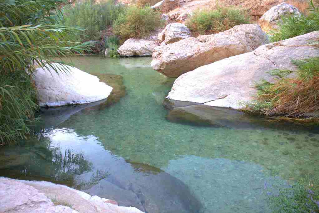 A Long Hot Summer in Palestine A Long Hot Summer in Palestine