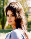 Sophia Loren Sophia Loren