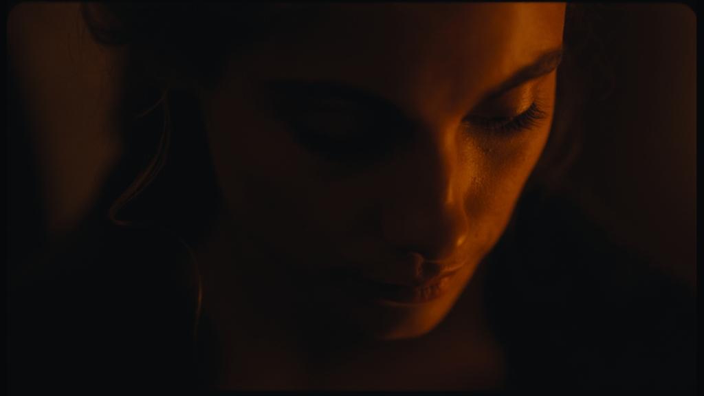 Les Camélias Les Camélias