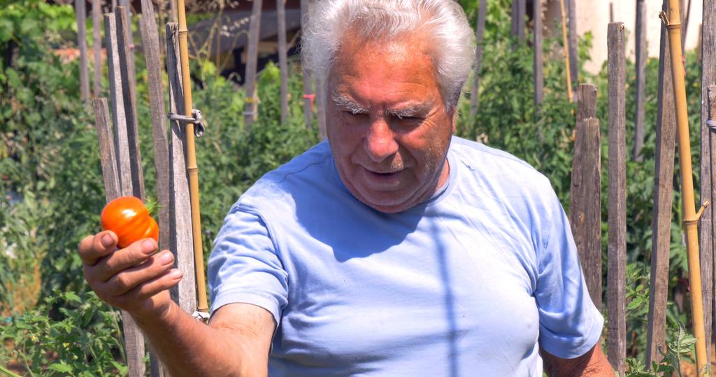 Le Potager de mon grand-père Le Potager de mon grand-père