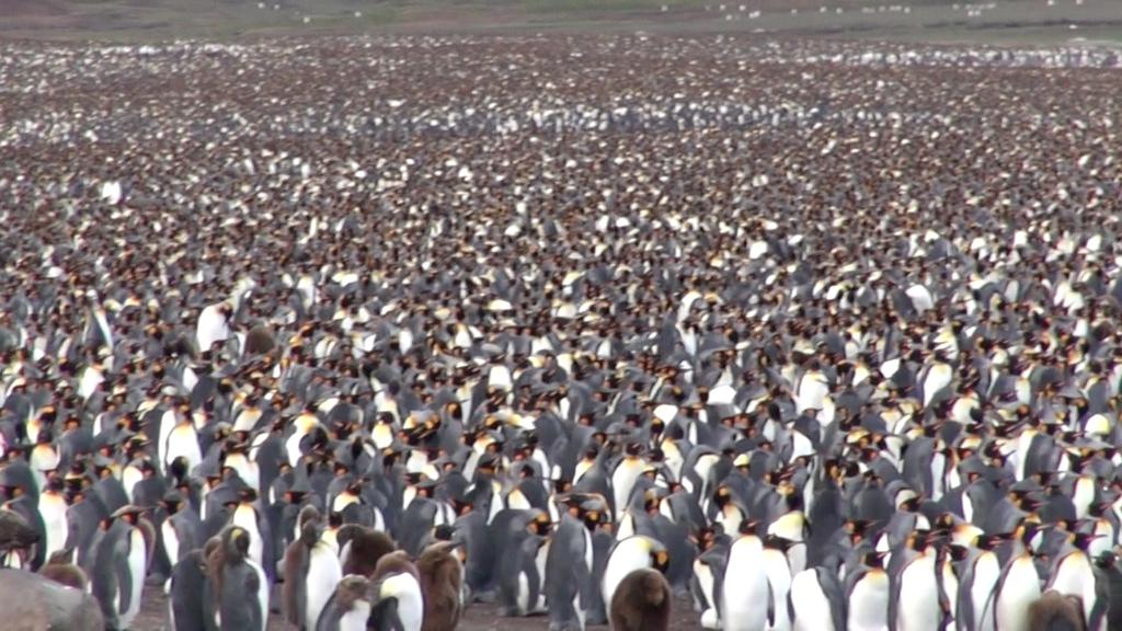 Même la lune tangue Même la lune tangue