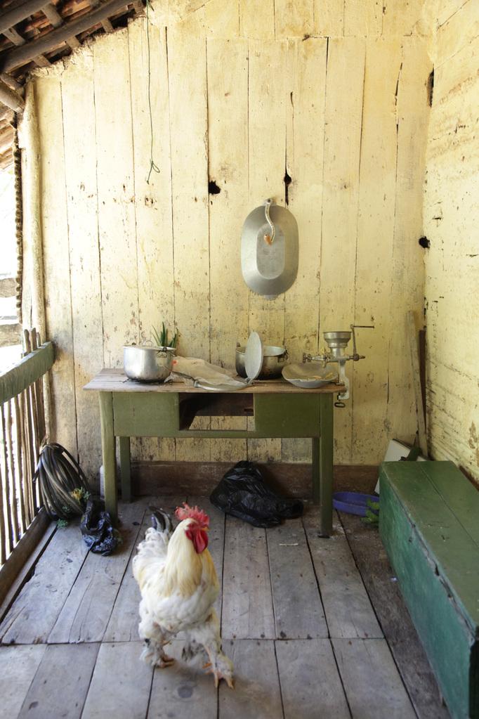 Jerico, The Infinite Flight of Days Jerico, The Infinite Flight of Days