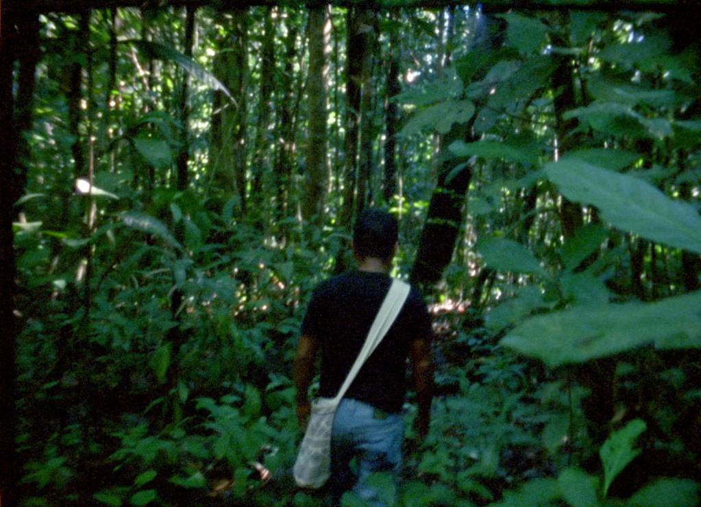 El Laberinto (Le Labyrinthe) El Laberinto (Le Labyrinthe)