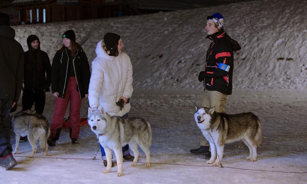 Clara Ormi&egrave;res