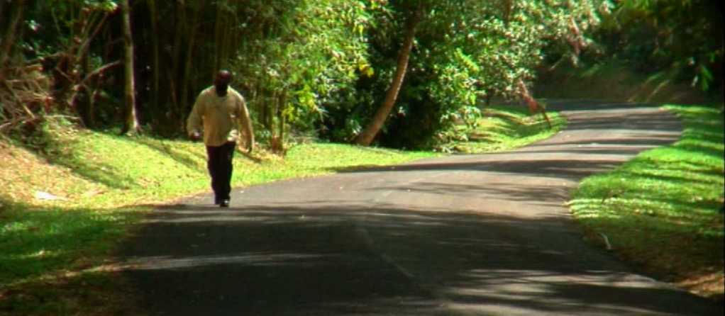 Josu&eacute; Gueppoid