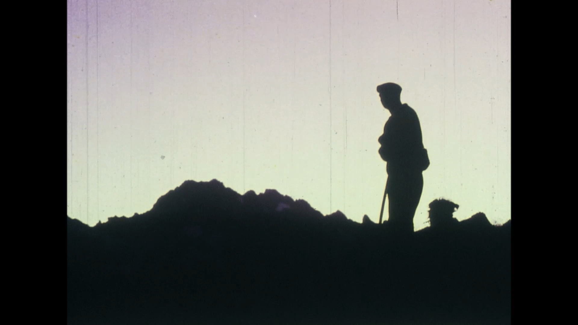 Ceux de la nuit de Sarah