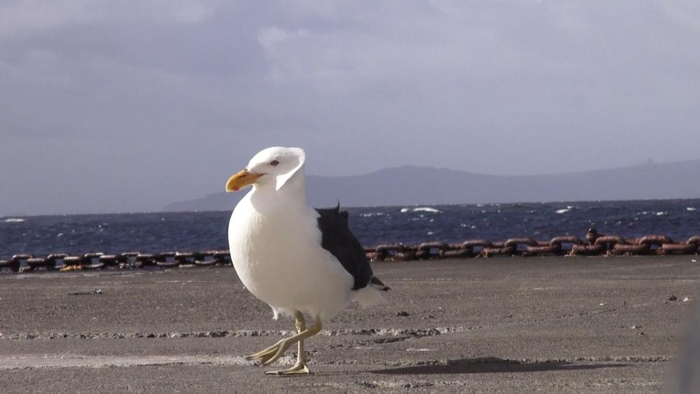 Même la lune tangue Même la lune tangue