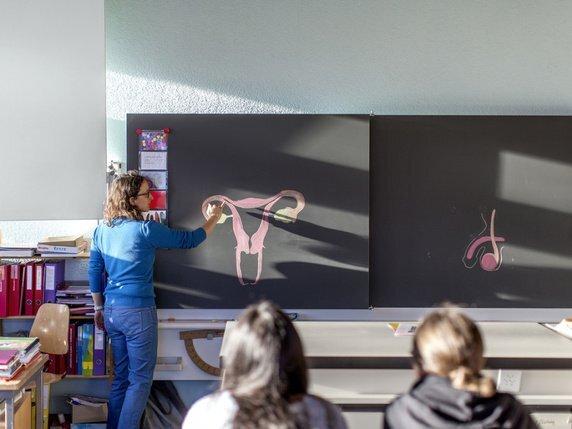 La Fabrique du mensonge : Education à la sexualité, l'école sous pression La Fabrique du mensonge : Education à la sexualité, l'école sous pression