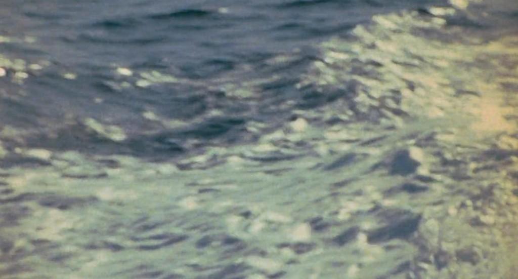 Les Œufs du serpent Les Œufs du serpent