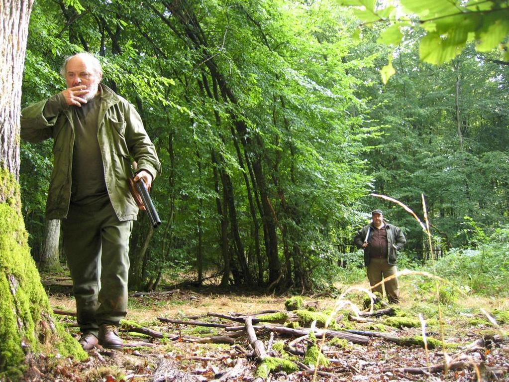 Festival of Nations (Ebensee) - 2008