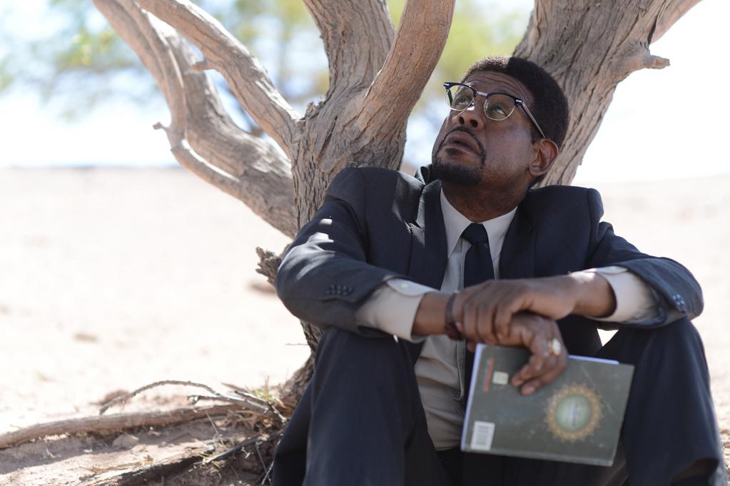 Tim Guinee - &copy; Tessalit-Path&eacute; Photographer: Gregory Smith