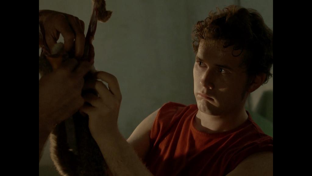 The Great Bear The Great Bear