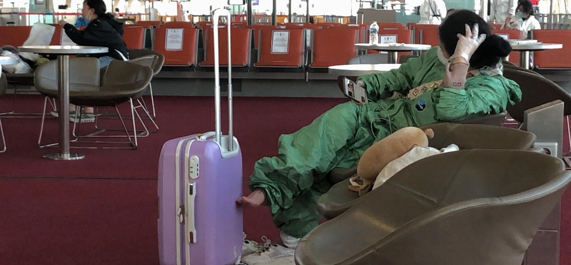 MyFrenchShorts #28 : 'My Quarantine Bear' de Weijia Ma MyFrenchShorts #28 : 'My Quarantine Bear' de Weijia Ma