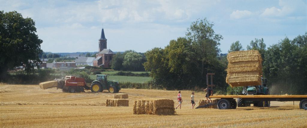 Un été à la ferme - L'âge d'or - © Les Films d'Ici - ARP - Manuel Cam Un été à la ferme - L'âge d'or - © Les Films d'Ici - ARP - Manuel Cam