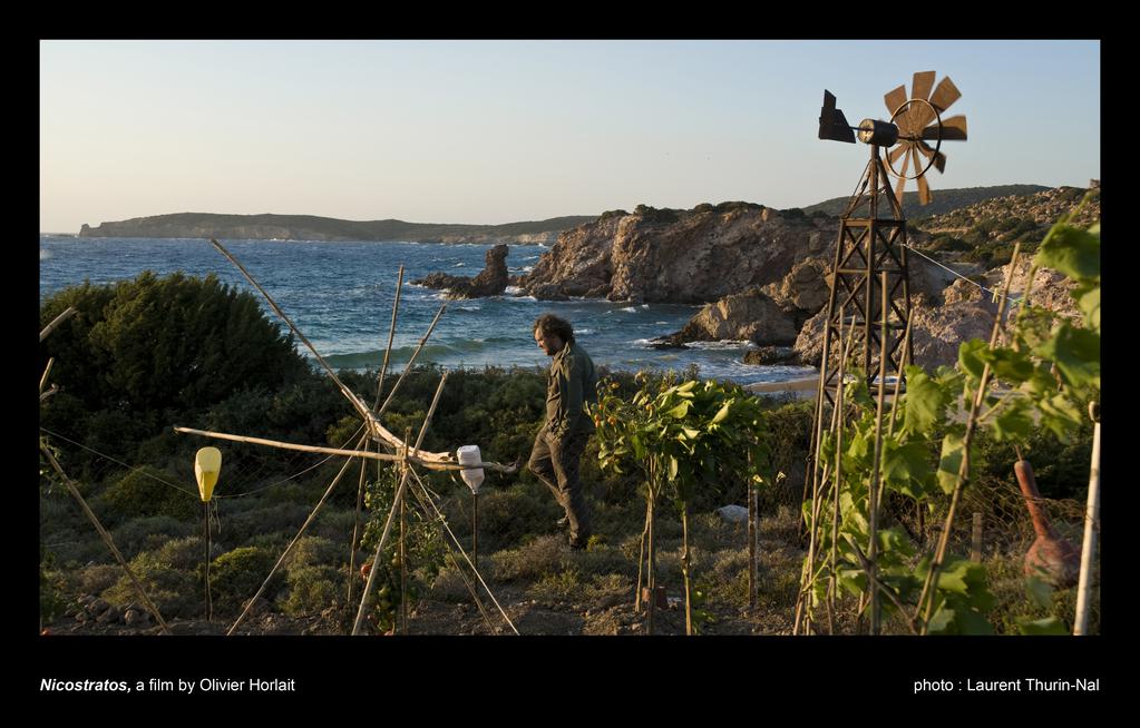 Nicostratos, le pélican Nicostratos, le pélican