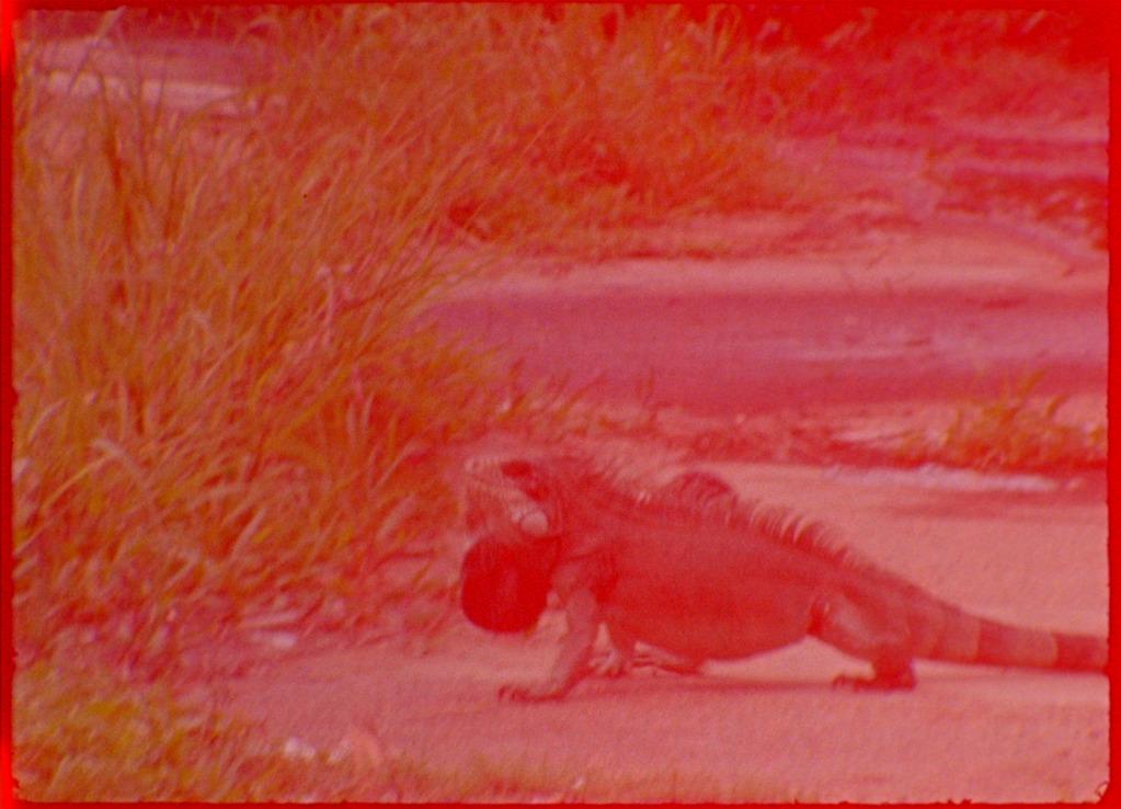 El Laberinto El Laberinto