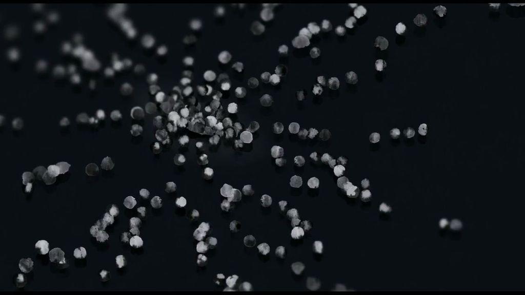 BIAF - 2015 BIAF - 2015