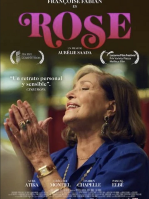 Rose - Argentina Rose - Argentina