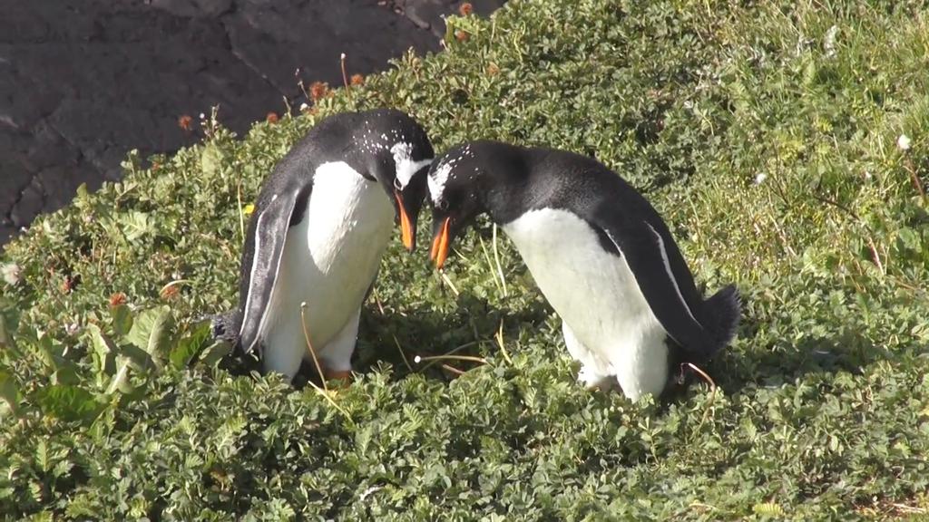 Même la lune tangue Même la lune tangue