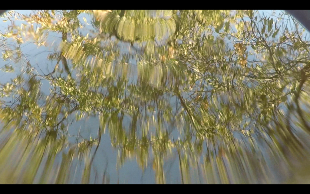 Sacralisons Sacralisons