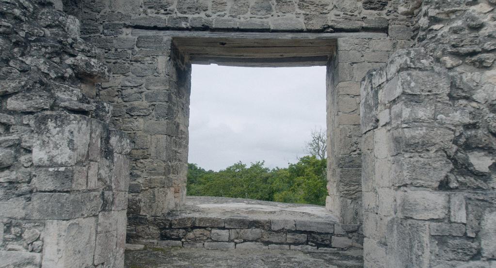 Yollotl (Cœur) Yollotl (Cœur)