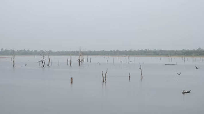 Loin de moi la col&egrave;re