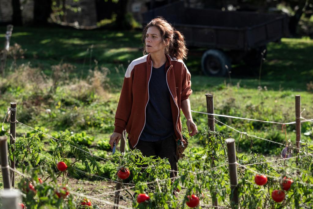 The Beasts - © Lucia Faraig The Beasts - © Lucia Faraig