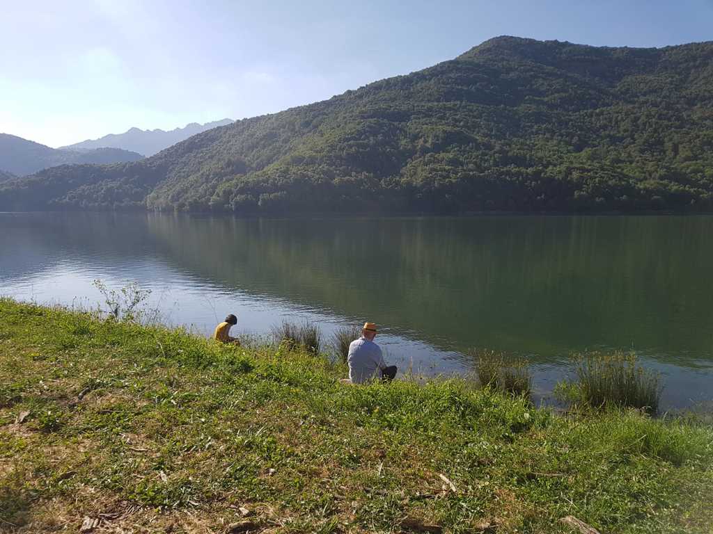 Du gros poisson Du gros poisson