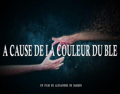 Because of the Color of Wheat Because of the Color of Wheat