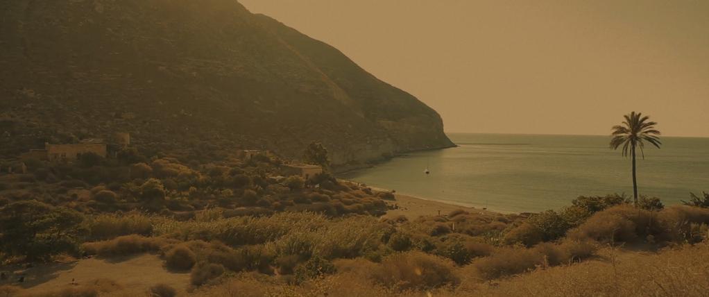 And We’ll Eat Flowers (Barefoot on Nettles) And We’ll Eat Flowers (Barefoot on Nettles)