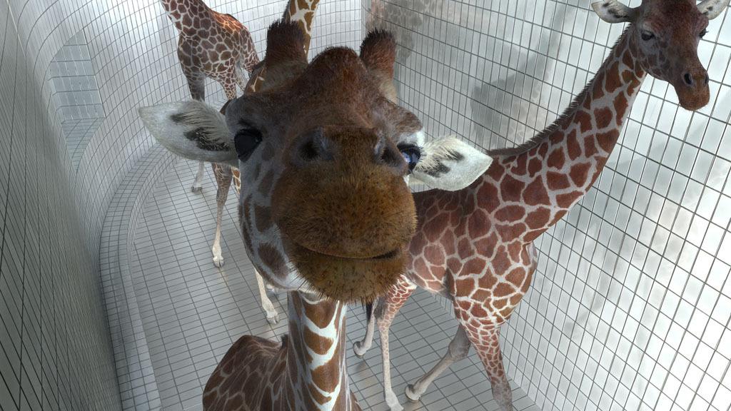 Festival du cinéma international en Abitibi-Témiscamingue (Rouyn-Noranda) - 2014 Festival du cinéma international en Abitibi-Témiscamingue (Rouyn-Noranda) - 2014