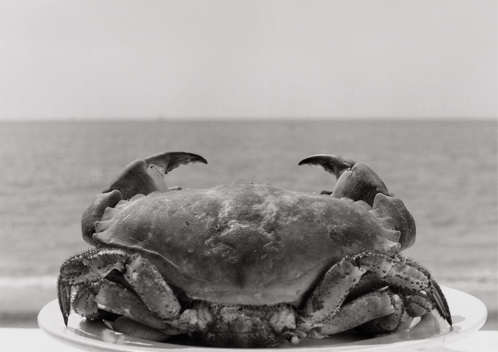 Jean-Claude Bonnifait Jean-Claude Bonnifait