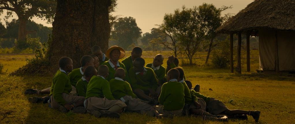 Shanghai - International Film Festival - 2020 - &copy; Ladybirds