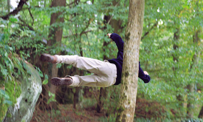 Directors' Fortnight - 2003